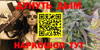 гидра Новодвинск