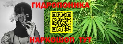 ПСИЛОЦИБИНОВЫЕ ГРИБЫ Новокубанск