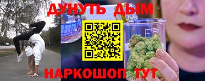 гидра Новодвинск