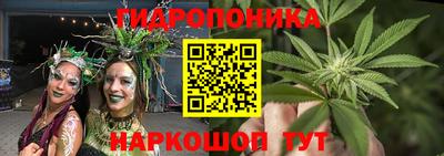 ПСИЛОЦИБИНОВЫЕ ГРИБЫ Новокубанск