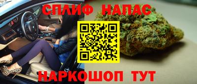 гидра Новодвинск