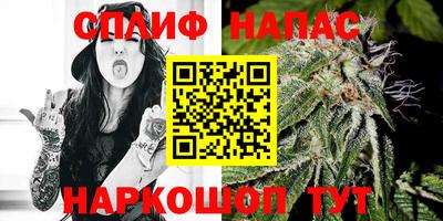 гидра Новодвинск