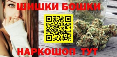 гидра Новодвинск