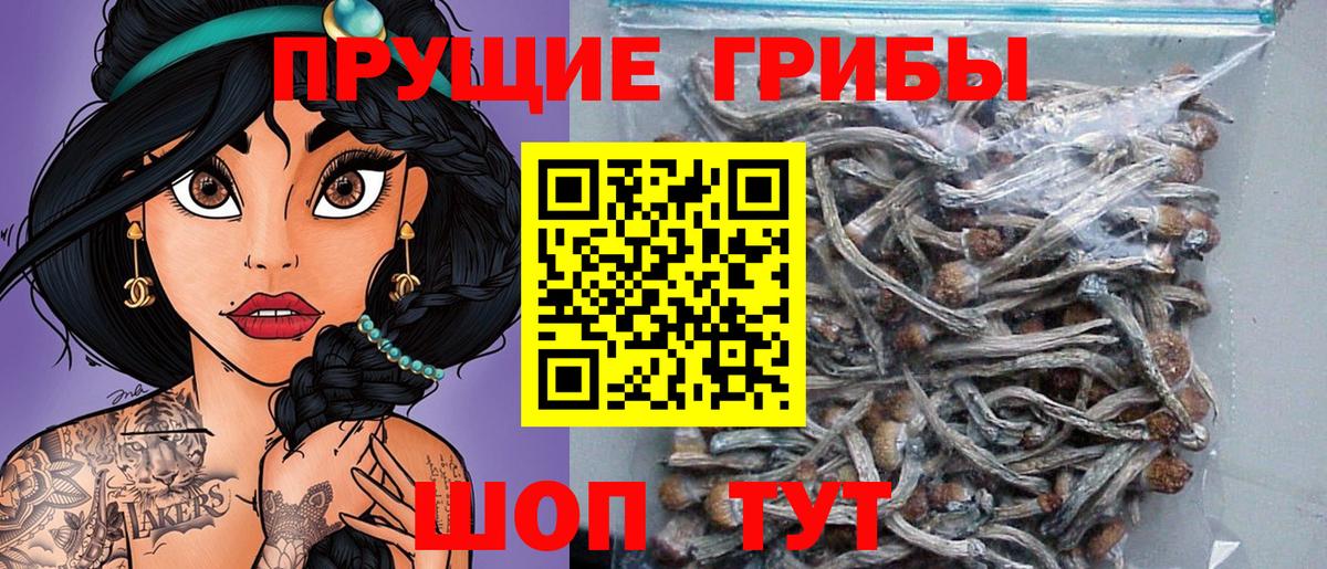 Псилоцибиновые грибы ЛСД Нальчик